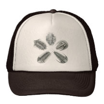 5 Trilobites Hat