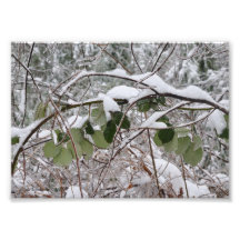 5X7 Blackberries Encased in Ice Photo Art