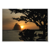 5X7 La Push, Washington Photo Art