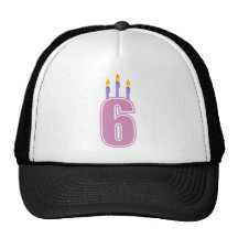 6 Birthday Candles (Pink / Purple) Mesh Hat