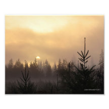 8x10 Foggy Sunrise in the Pacific Northwest Photograph