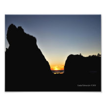 8X10 Ruby Beach on the Pacific Ocean Art Photo