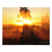 8X10 Sunrise Fog in the Pacific Northwest Photograph