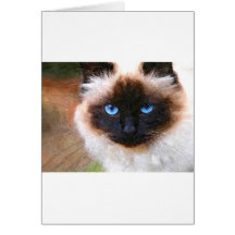 A Birman Cat Greeting Card