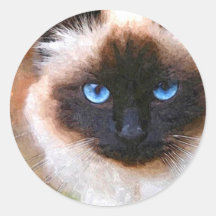 A Birman Cat Stickers