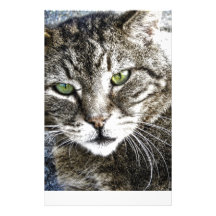 a cat individuelles druckpapier