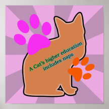 A Cats Higher Education Includes Naps Print