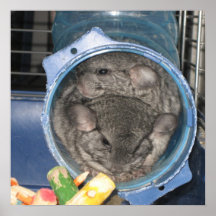 A clog in the pipe print