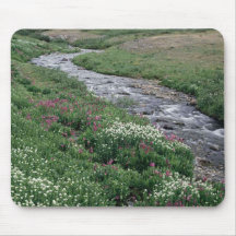 A creek running through the woods. mouse mats