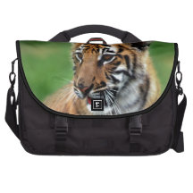 A cute baby tiger bag for laptop