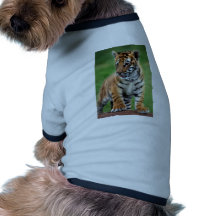 A cute baby tiger dog clothes