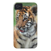 A cute baby tiger iPhone 4 cover