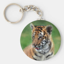 A cute baby tiger keychains
