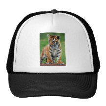 A cute baby tiger mesh hats
