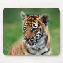 A cute baby tiger mouse pads