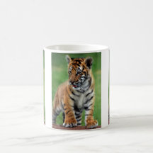 A cute baby tiger mugs