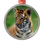Animal Ornaments
