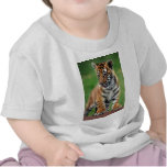 A cute baby tiger t shirt