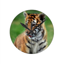 A cute baby tiger wallclock