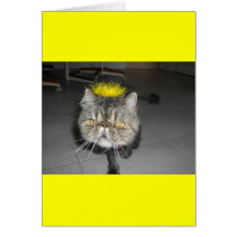A day at the salon! cards