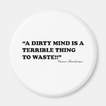 A Dirty Mind Is A Terrible Thing To Waste Refrigerator Magnets