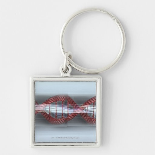 A DNA strand in a capsule Key Chains