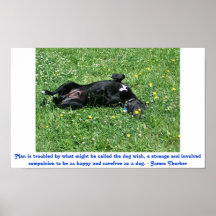 A Dog Wish Posters