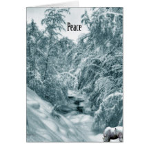 A Drink from Halls Brook: Peace Holiday Card