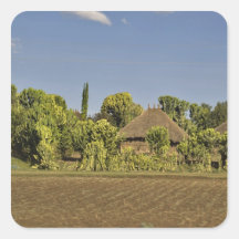 A farmed field in front of thatched roof houses stickers