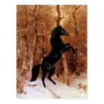 A friesian in winter snow postcards