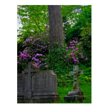 A Gardens Rest Post Card