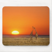 A Giraffe couple walks into the sunset, in Mouse Pad