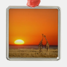 A Giraffe couple walks into the sunset, in Ornament