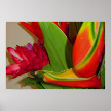 A Hawaiian Bouquet Print