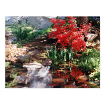 A Healing Place Postcards