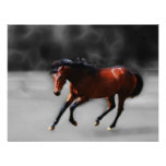 A horse called Riboking Custom Invite