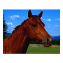 A horse standing proud invitation