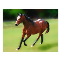 A horses canter personalized invite