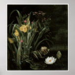 A Lily Pond, 1855 Print