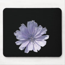 A Lone Chickory Flower Mouse Pad