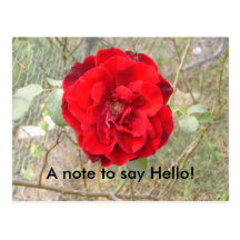 A note to say hello postcard