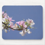 A Perfect Day - White Pink Flowers Mousepad