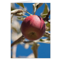 "A Plum is a Peach" Greeting Cards