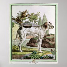 A Pointer, illustration from 'Histoire Poster