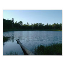 A pond in the midst of a forest photo print