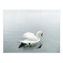 A Pure Cleansing Post Card