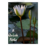 A quick note greeting card
