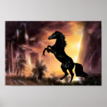 A rearing black stallion at sunset posters