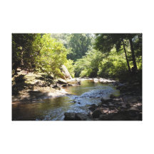 A Rocky Creek Canvas Prints