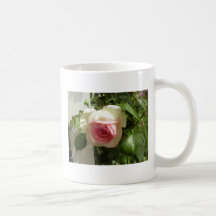 "A Rose from My Cottage Garden Coffee Mugs